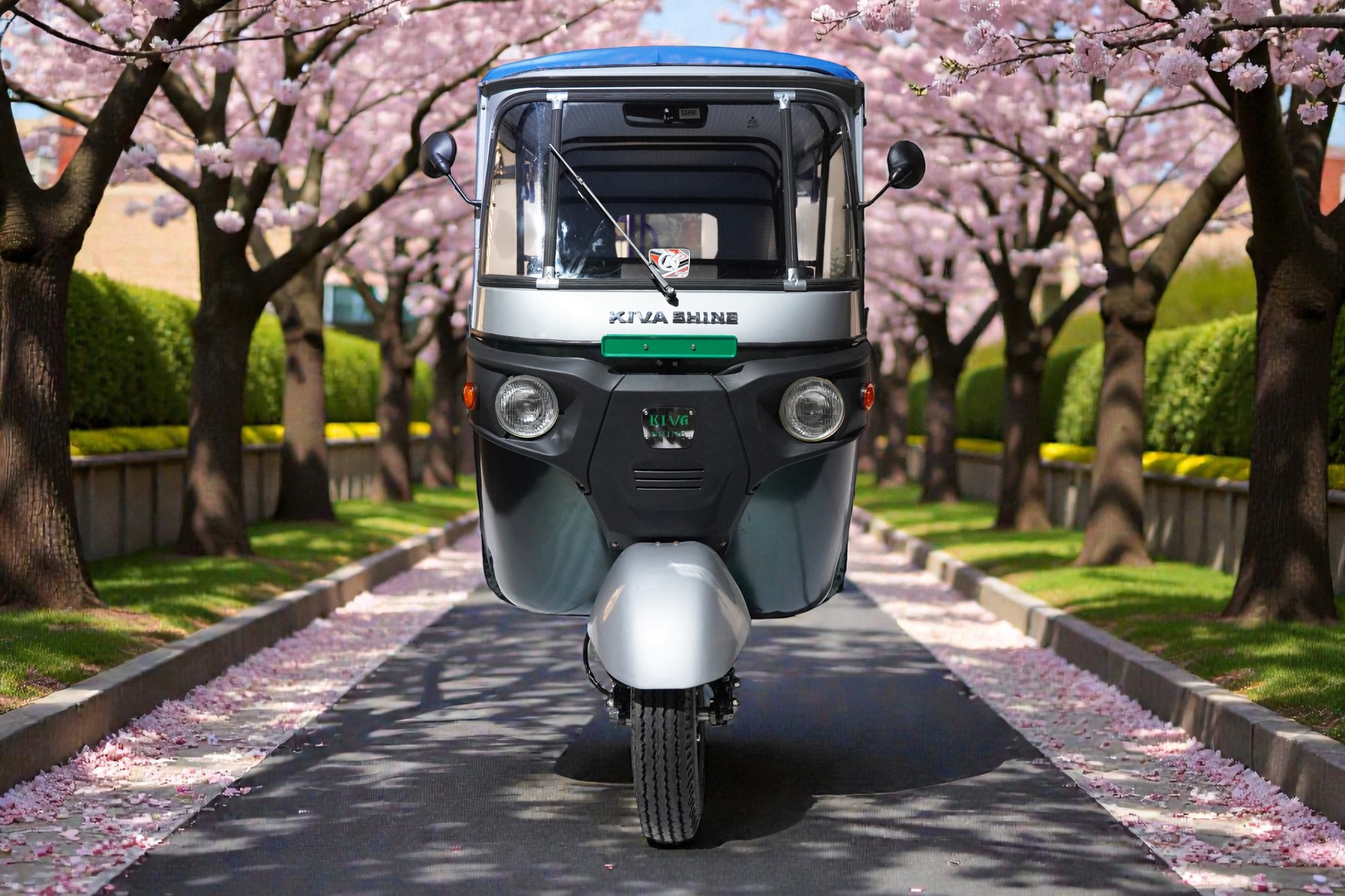 Electric Rickshaw Small